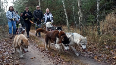 Фото нашего гида Ирины Пряничниковой