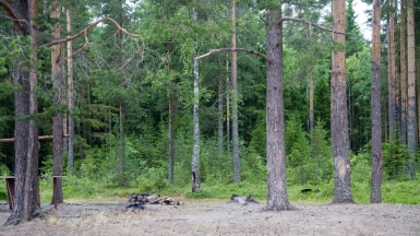 Фото: Tetiana Shyshkina, unsplash.com