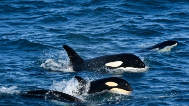 Фото из архива Клуба