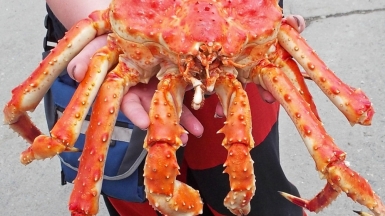 Фото из архива Клуба