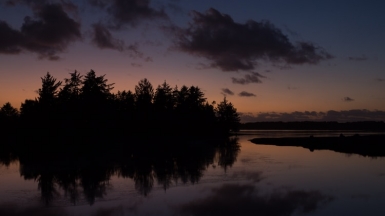 Фото: Ben Mater, unsplash.com