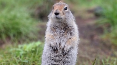 Фото нашей Странницы Марии Дель