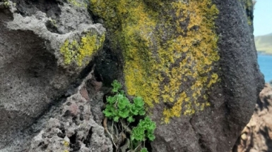 Фото из архива Клуба