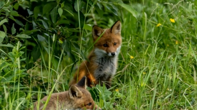 Фото: Lasse Nystedt on Unsplash