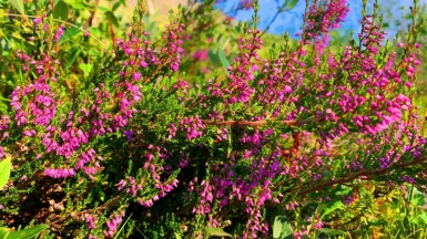 Фото наших Странников