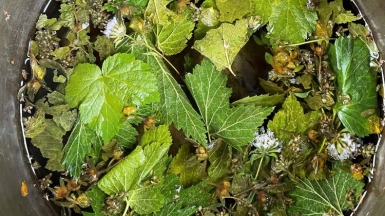 Фото нашей Странницы Татьяны Вавиловой