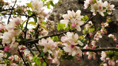 Фото Виктории Васильченко