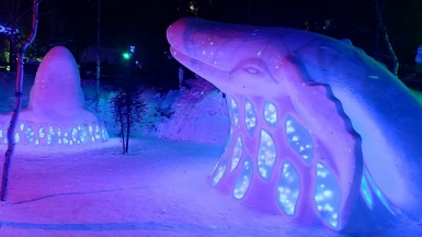 Фото нашего гида Галины Шелудько