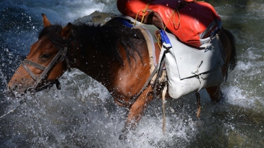 Фото нашей Странницы Ирины Сильвестровой