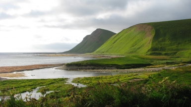 Фото: SuricataJ on wikimedia