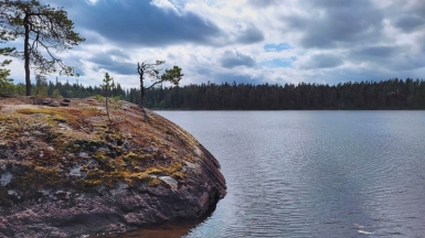 Фото нашего Странника Алексея Ефремова