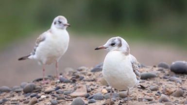 Фото нашего гида Михаила Верёвченко