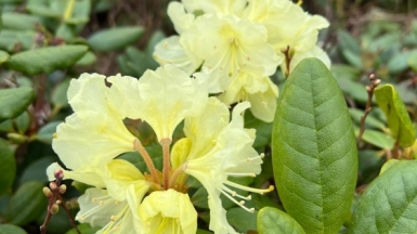 Фото Анастасии Дербиной