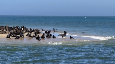 Фото: наш гид Алексей Шорец