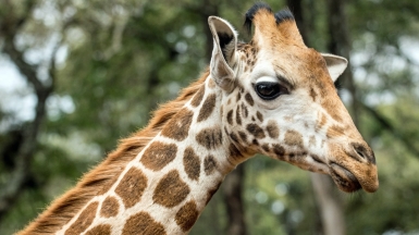 Фото: David Clode, unsplash.com