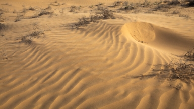 Фото нашего гида Михаила Верёвченко