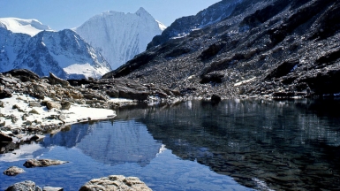 Автор: Julius_Silver. Источник: pixabay.com