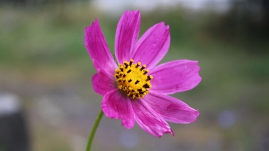 Фото: Rebecca Asryan, unsplash.com