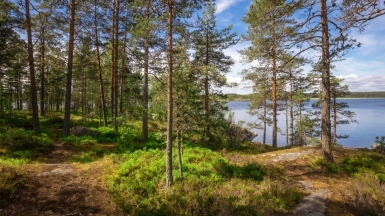 Фото нашего гида Михаила Верёвченко