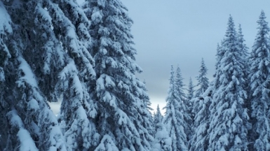 Фото наших Странников