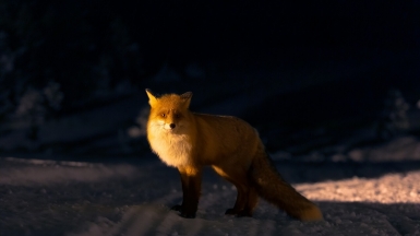 Фото из архивов Клуба