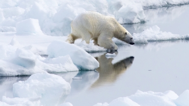 Фото: Christopher.Michel. Источник: visualhunt.com