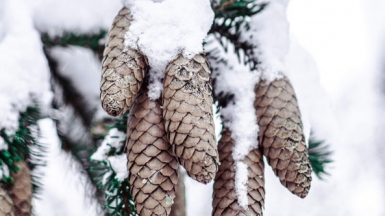 Фото: Ira Mint, unsplash.com