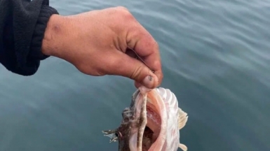 Фото из архива Клуба