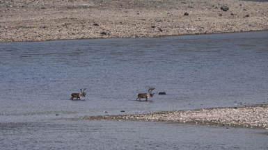 Фото из архива Клуба