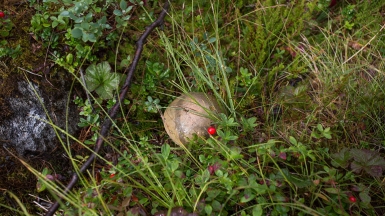 Фото нашей Странницы Татьяны Руновой