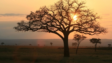 Фото: Marc Veraart, visualhunt.com