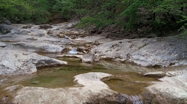 Фото нашего гида Галины Шелудько