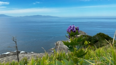 Фото нашего Странника Константина Дубинина