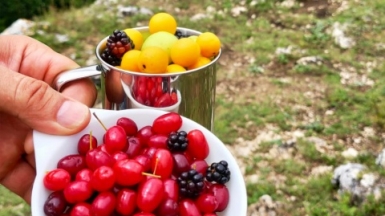 Фото наших Странников