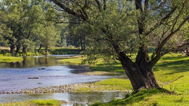 Фото из архива Клуба