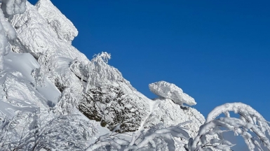 Фото из архива Клуба