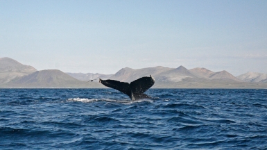 Фото из архива Клуба