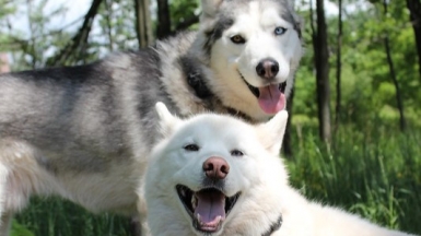 Фото: sdkscorp, visualhunt.com