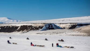 Фото: Сергея Доля