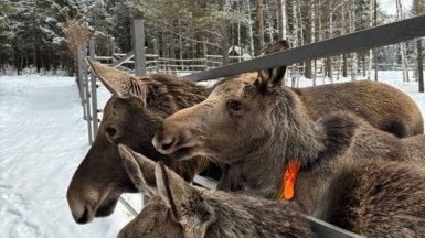 Фото гида Натальи Кислушко