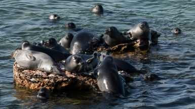 Фото нашего гида Андрея Таничева