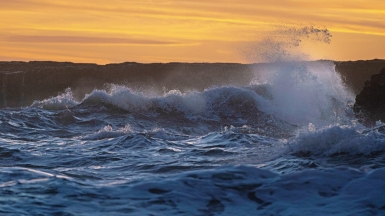 Фото: intricate explorer on unsplash