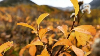 Фото нашего гида Евгении Скопиной