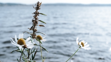 Фото: Mary Ray, unsplash.com