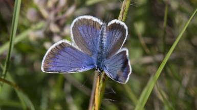  Фото: Kristof Zyskowski & Yulia Bereshpolova, visualhunt.com