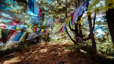 Фото Даниила Калинцева