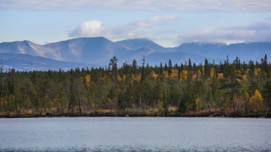 Фото: Ninara on Visualhunt