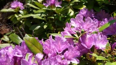 Фото нашего гида Елены Кузура