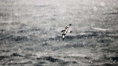 Фото: 66-north on unsplash