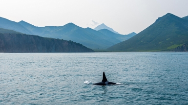 Фото нашей Странница Анны Филатовой